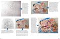 Thumbnail for version as of 22:48, 23 June 2020
